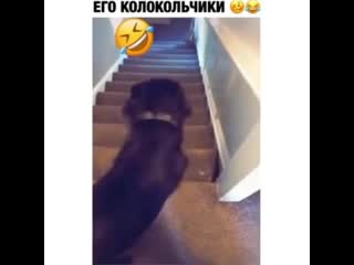 Бубенцы зазвенели