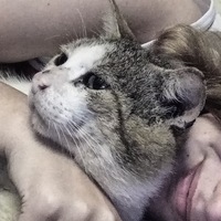 Юлия Яковлева