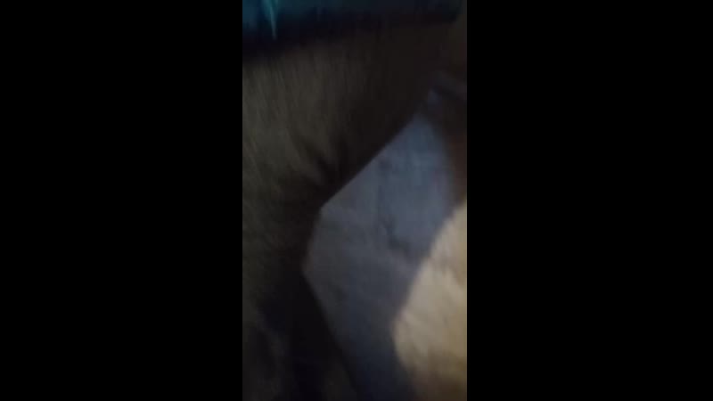 VID_20191110_171001.mp4