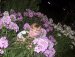 Татьяна Саенко фотография #29