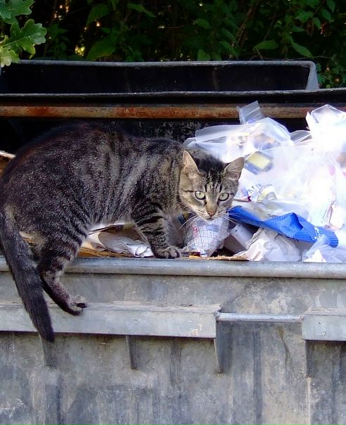 №7, Алексей Костик, Москва, Россия №7, Алексей Костик, Москва, Россия