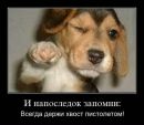 Фотография Phoenix Guru