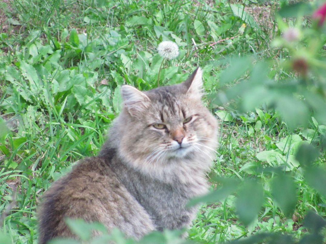 Алексей Данилов | Пермь