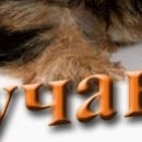 №47, Катерина Волосевич, 32 года, Гродно №47, Катерина Волосевич, 32 года, Гродно