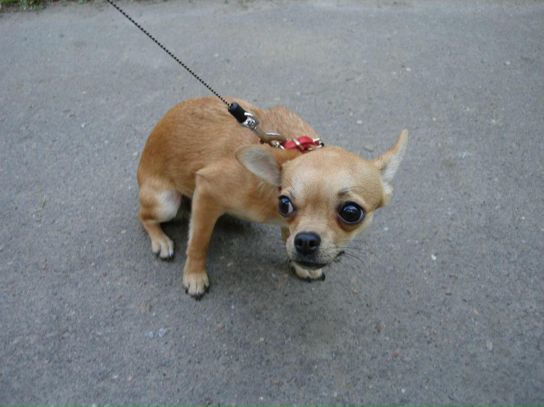 Юрий Спектор 捌 | Санкт-Петербург