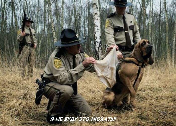 Александра Субботович | Щелково