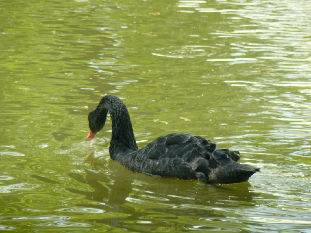 Елена Глибина | Вологда