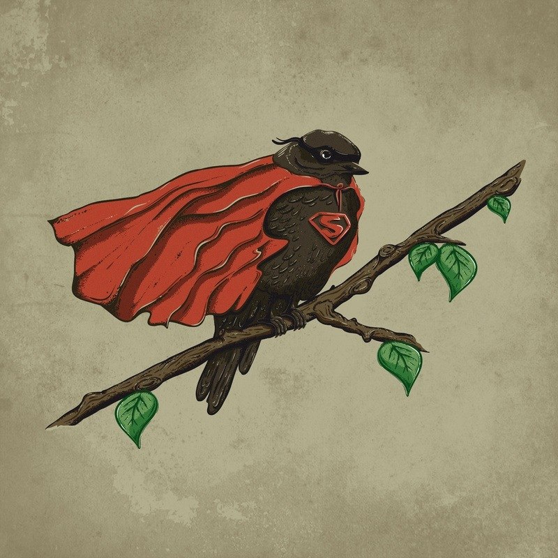 Люда Смирнова | Сельцо