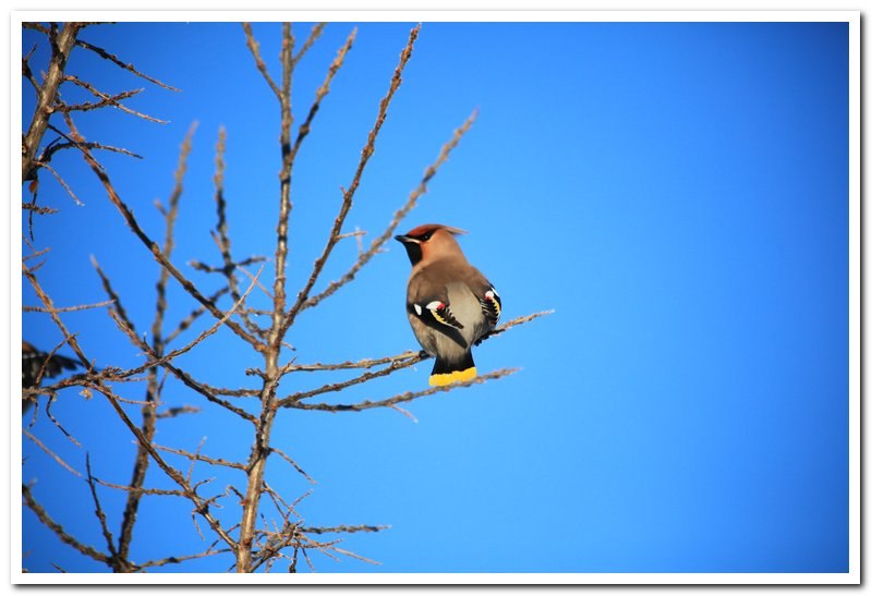 Алексей Кваша | Камчатка (деревня)