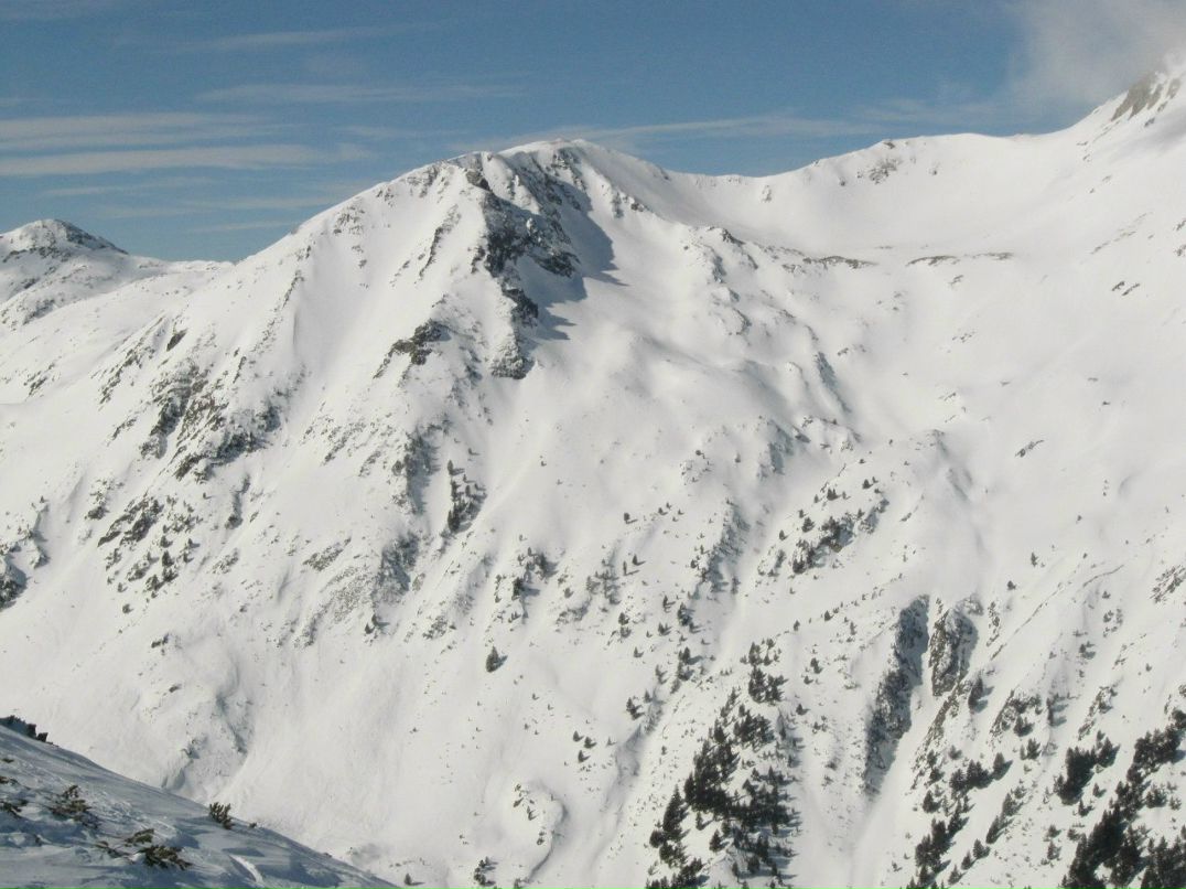 Mary Vtulkina *violet* | Люберцы