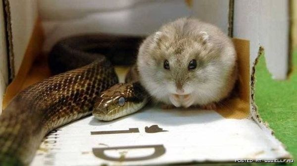 Мария Казакова | 