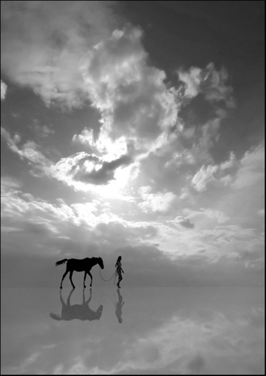 Александра Лактионова | Санкт-Петербург