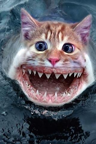 Виктор Январев | 