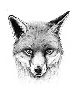 Ella Gerasimchuk .darkinwhite. | 