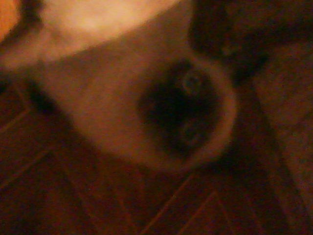 Мария Ткачёва | Казань