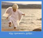 Фотография Ольга Волкова