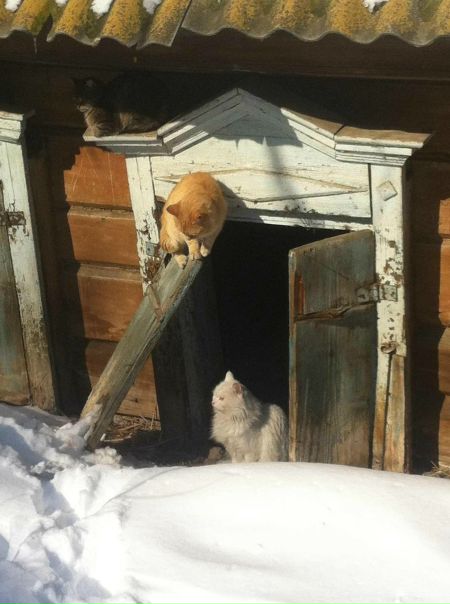 №91, Михаил Путилин, 41 год, Астрахань №91, Михаил Путилин, 41 год, Астрахань