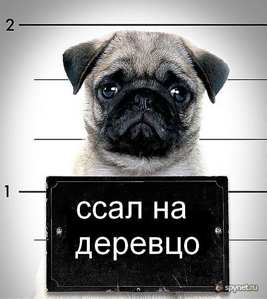 №9, Костя Бондаренко, 35 лет, Днепр (Днепропетровск) №9, Костя Бондаренко, 35 лет, Днепр (Днепропетровск)