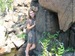Ирина Трифонова фотография #6