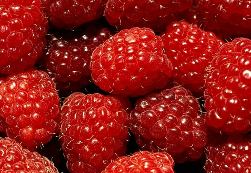 Юленька Ванюшкина | Москва