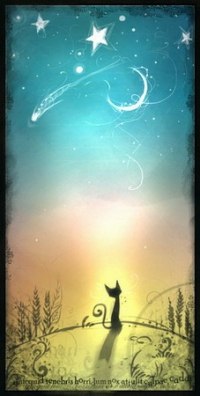 Володимир Крисюк | Тернополь