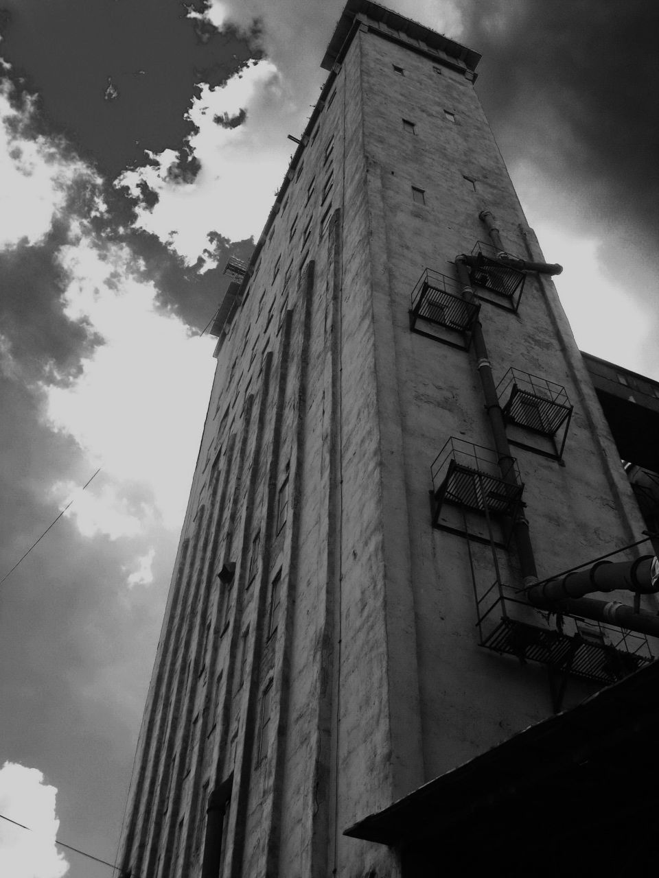 Дмитрий Грибов | Санкт-Петербург