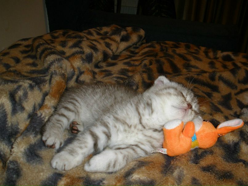 Александр Демченко | Ноябрьск