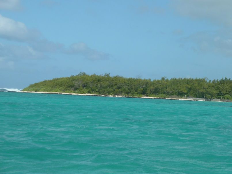 Анастасия Тимофеева | Санкт-Петербург