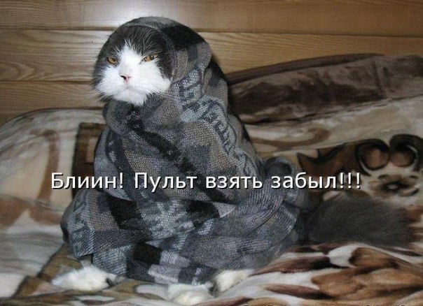 Дарья Колмогорова | Санкт-Петербург