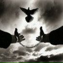 Артем Колпаков | Абакан