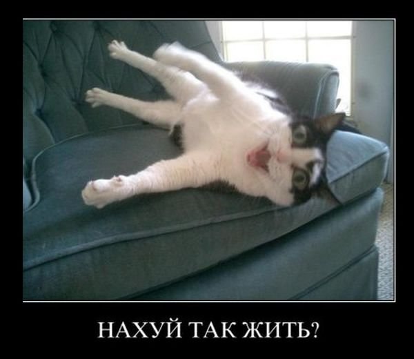 Сергей Неупокоев | Курган