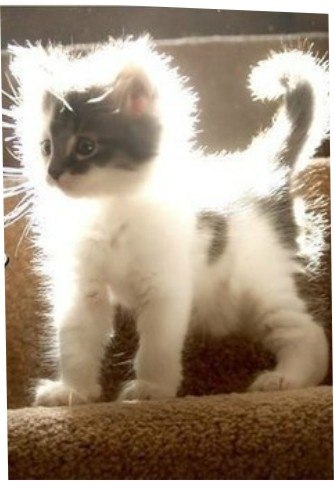 Анастасия Белоусова | Омск