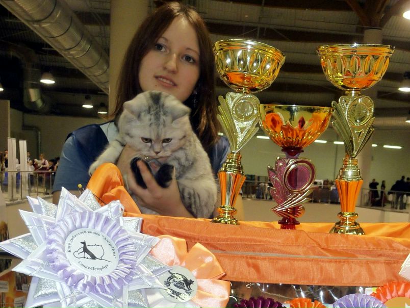 №47, Анюта Петрик, 40 лет, Санкт-Петербург, Россия №47, Анюта Петрик, 40 лет, Санкт-Петербург, Россия