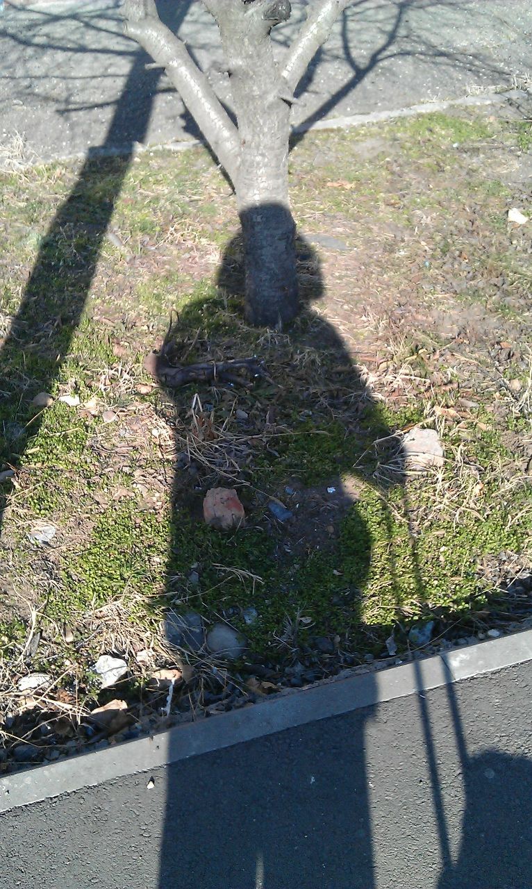 Дмитрий Егоров | Домодедово