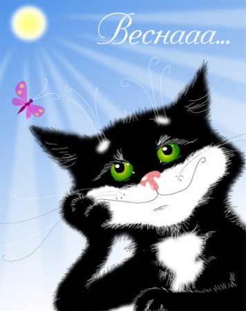 Мария Кулакова | Великий Новгород