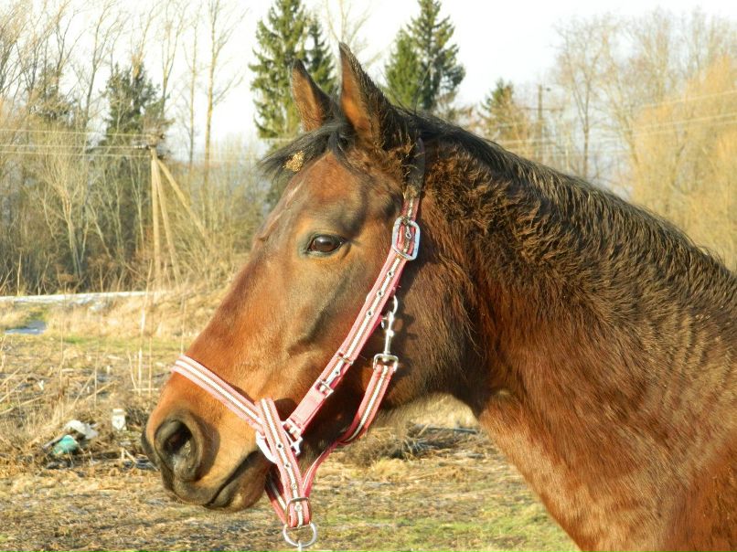 Сергей Скутте | Санкт-Петербург