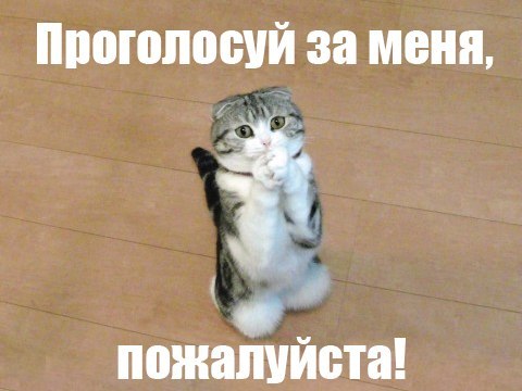 №130, Яна Соколова, Вологда №130, Яна Соколова, Вологда