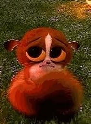 №4, Даша Мисько, Киев №4, Даша Мисько, Киев