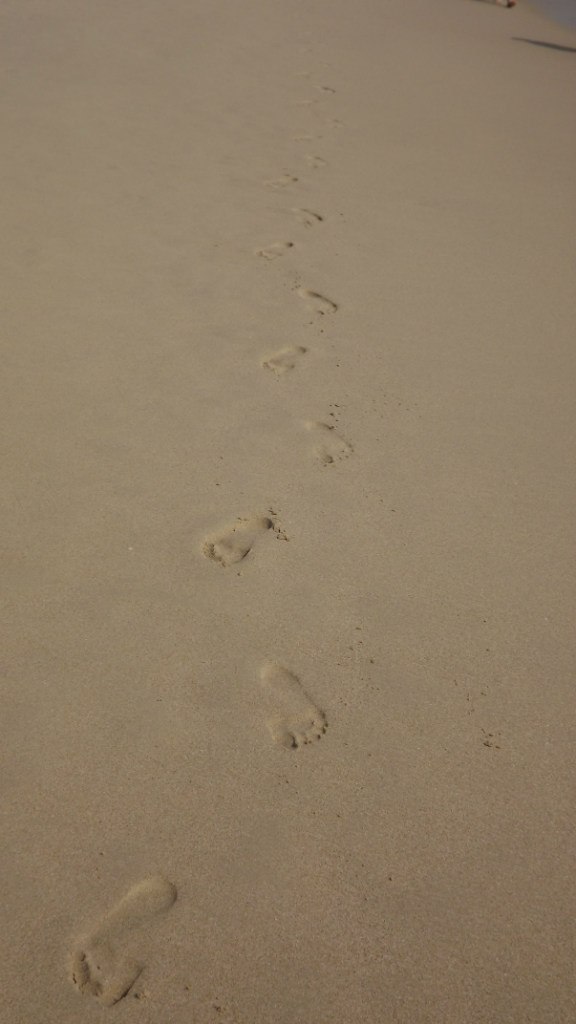 Дмитрий Овчинников | Москва