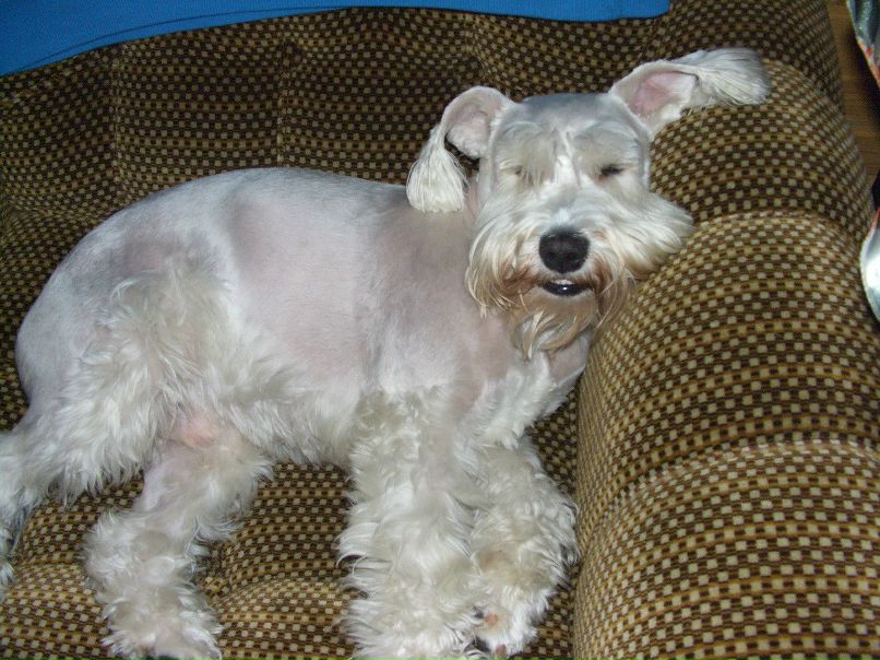 Юлия Склярук ♥♥♥ | Санкт-Петербург