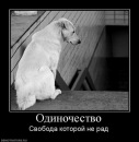 Фотография Удовенко Андрея