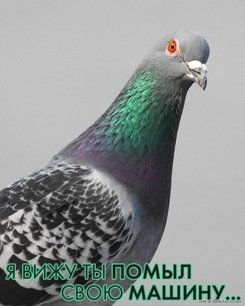 Алексей Антипов | Харьков