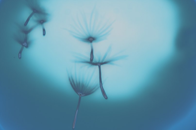 Альбиночка Кобища | Октябрьский