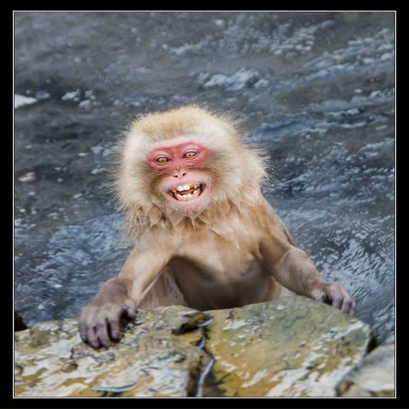 Наталия Соловьева ☜♡☞Ромашка☜♡☞ | Йошкар-Ола