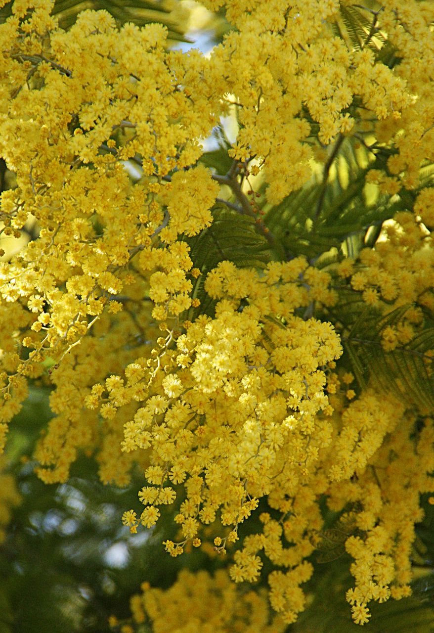 Мария Каспер | Москва