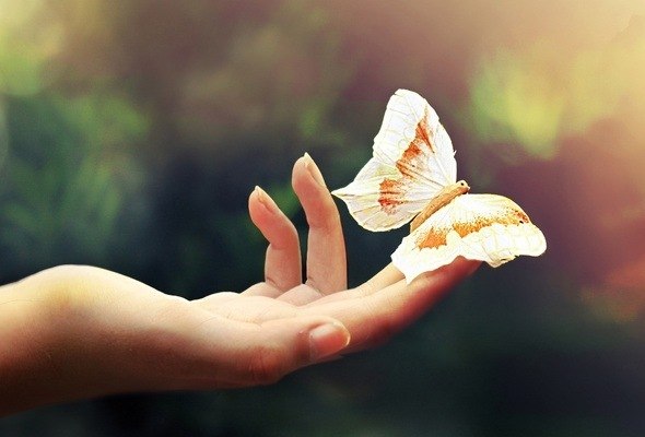 Мария Дементьева | 