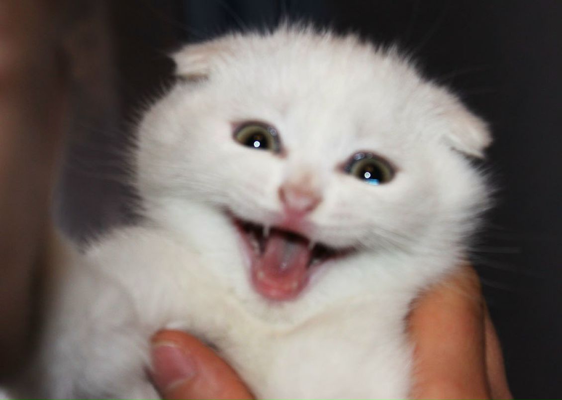 Andreas Andreas | Москва