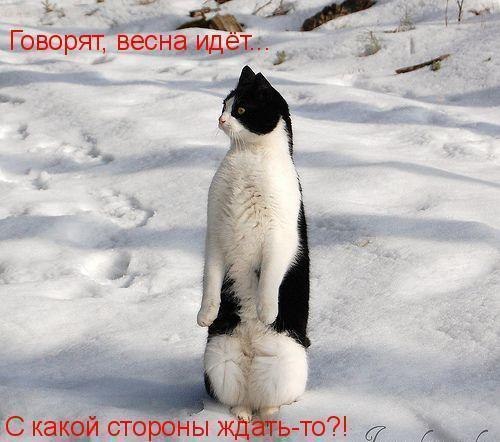 Мария Бузаверова | Москва