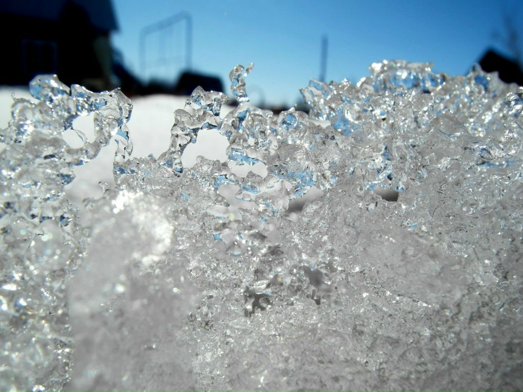 Максим Шапкин | Hamilton