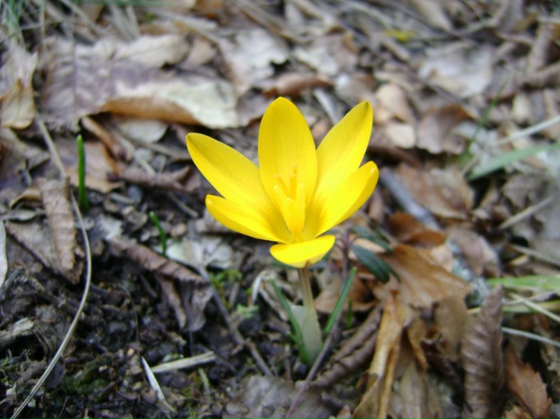 Ольга Пронина | Севастополь